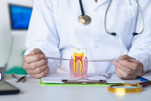 Best Emergency Denture Repair in Hainesvle, IL